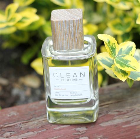 clean reserve parfum probe|clean perfumes for sale.